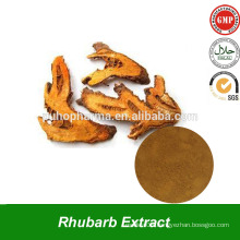 Rhubarb Root Extract Powder Rich in Chrysophanol extract from Chinese traditional herbs Rheum officinale